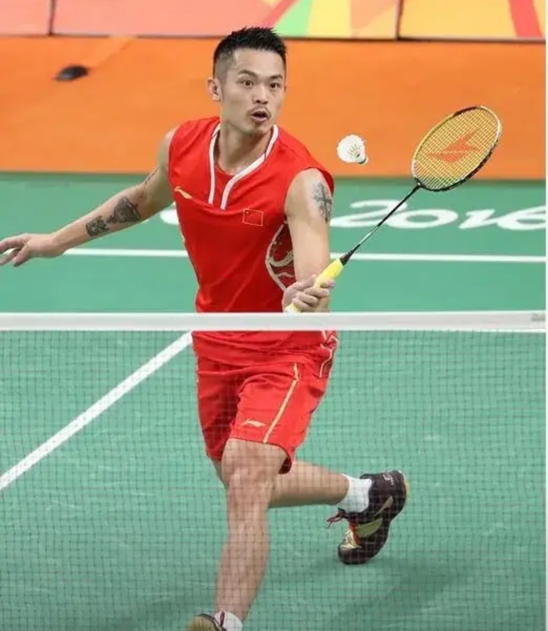 的整体表现 的整体表现