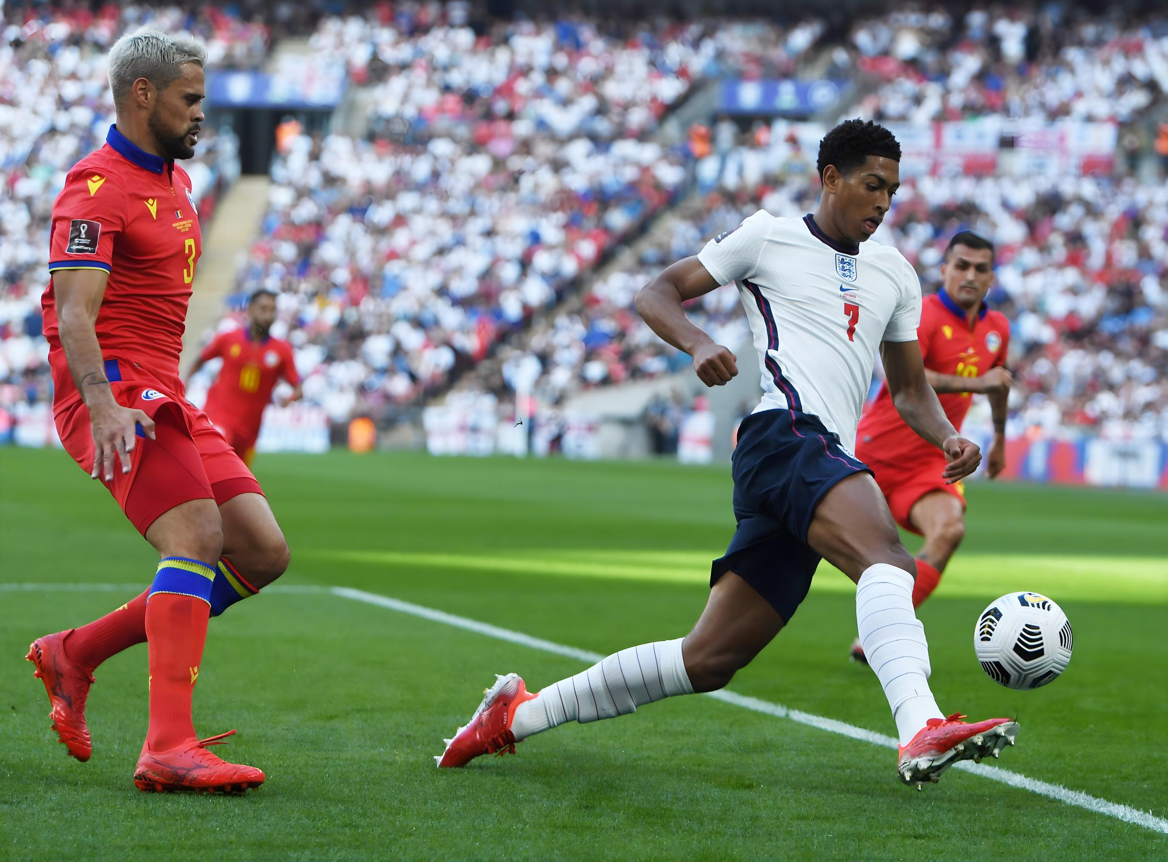 塞尔维亚全 塞尔维亚全