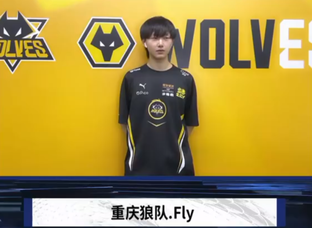 职业生态的